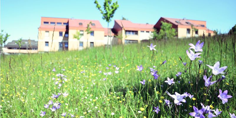 #386 (kein Titel) – Die Mitarbeitervertretung und der Werkstattrat kümmern sich um die Rechte unserer Mitarbeiter und Beschäftigten. 	